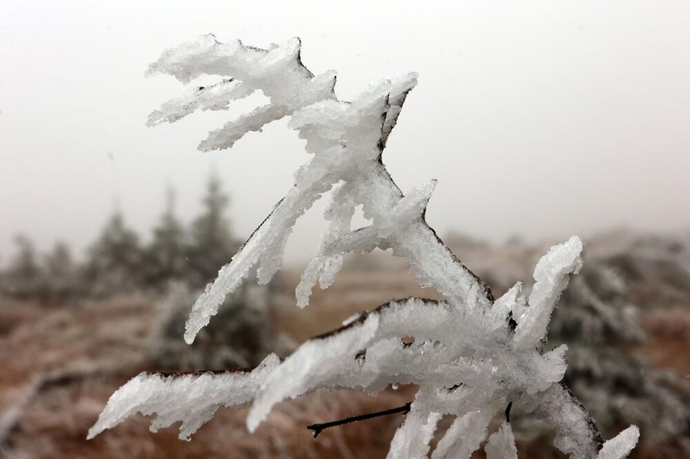 Erste Schneeflocken auf dem Brocken