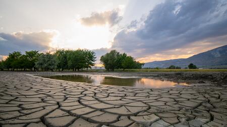 Der Süden und Osten Europas trocknen aus – auch Deutschland betroffen