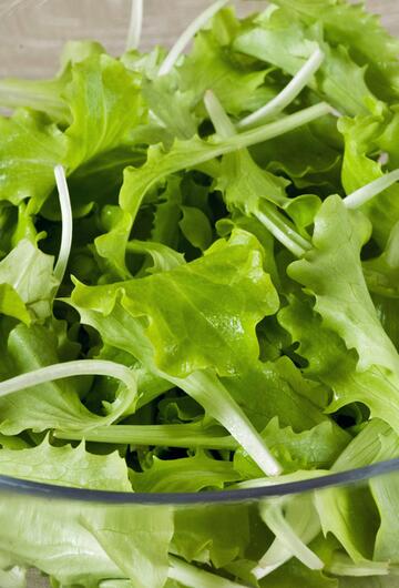 Salat, Welk, Lebensmittel auffrischen