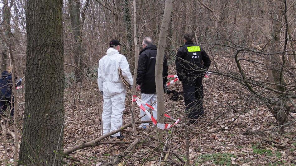 Abgetrennter Oberschenkel in Berliner Park entdeckt