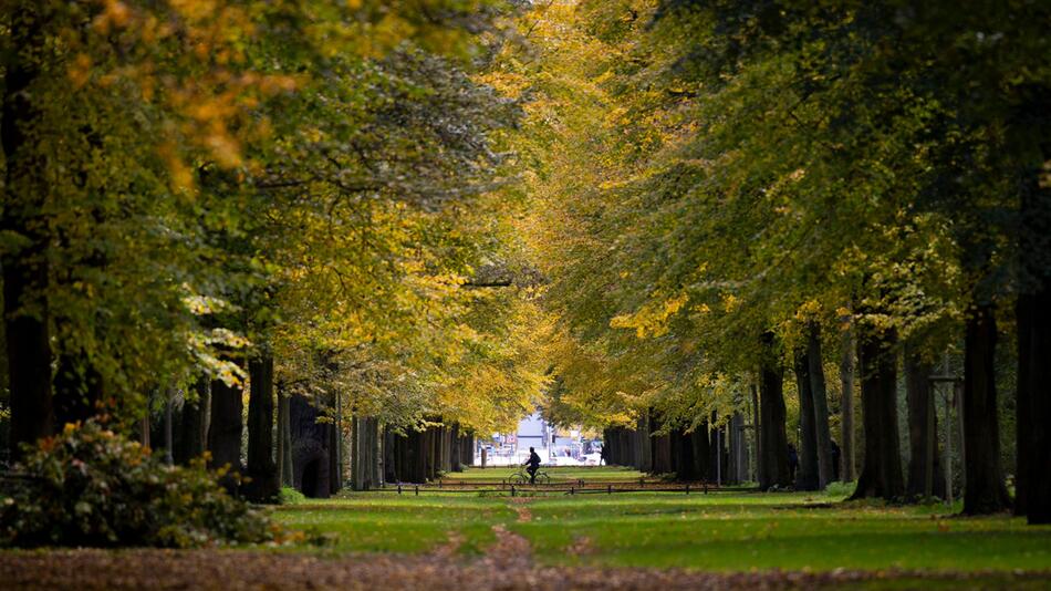 Herbst in Berlin und Brandenburg