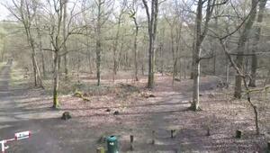 Bei Mannheim: Ermittlungen nach Leichenfund