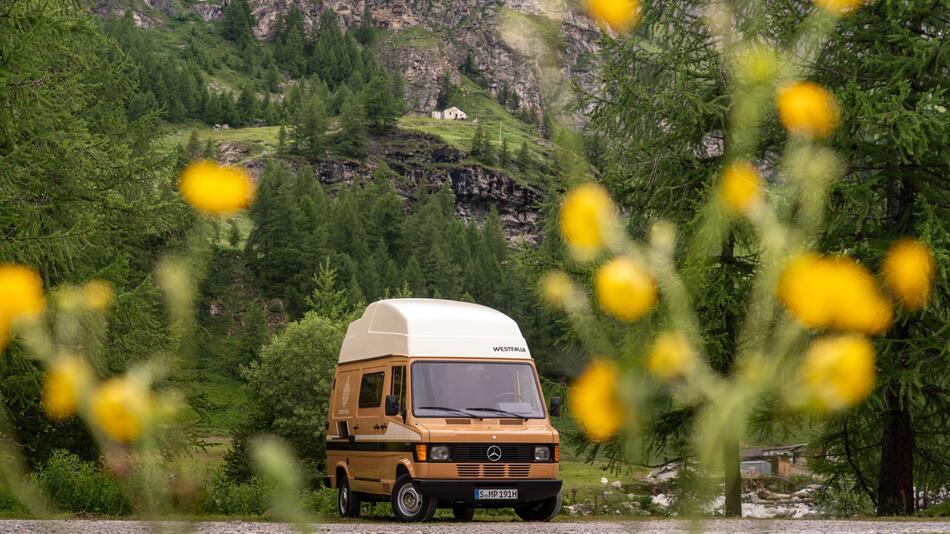 Frontansicht Mercedes Marco Polo