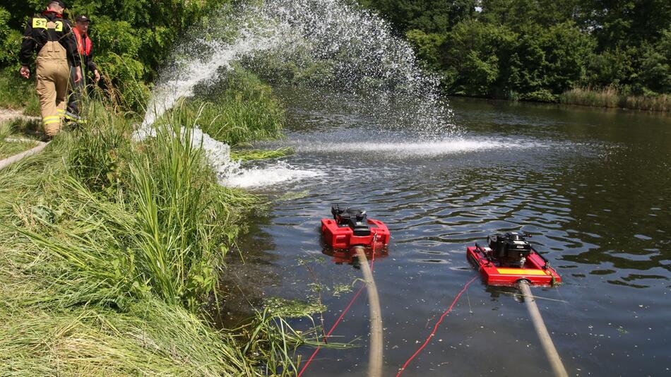 Fischsterben im Gleiwitzer Kanal in Polen