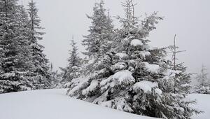 Experten warnen vor gefährlicher Winterwetterlage in Deutschland
