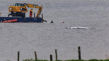 Geldgeber der Rettungsaktion: "Jetzt brauchen wir ein Wunder"
