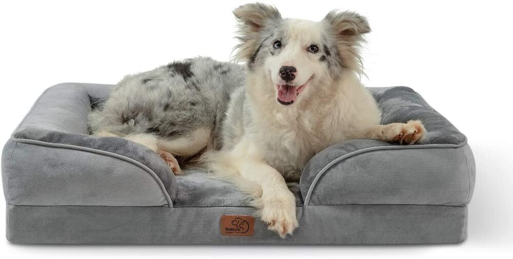 Hund, Hunde, Knochen, Beschäftigung, Haustier, Zubehör, Hundebett, Spielzeug