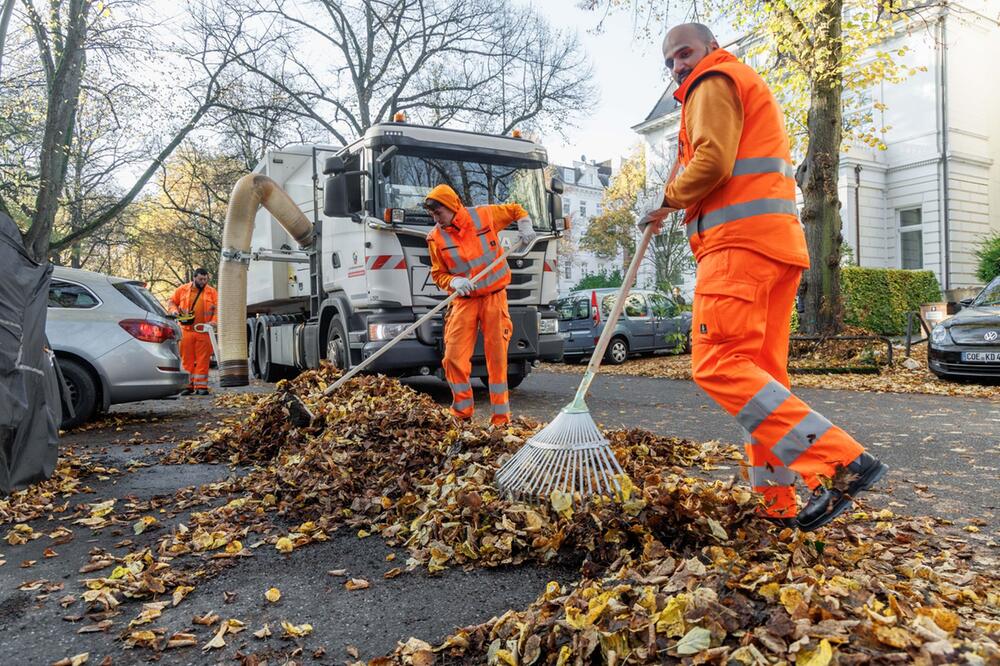 Beginn der Laubsaison der Hamburger Stadtreinigung