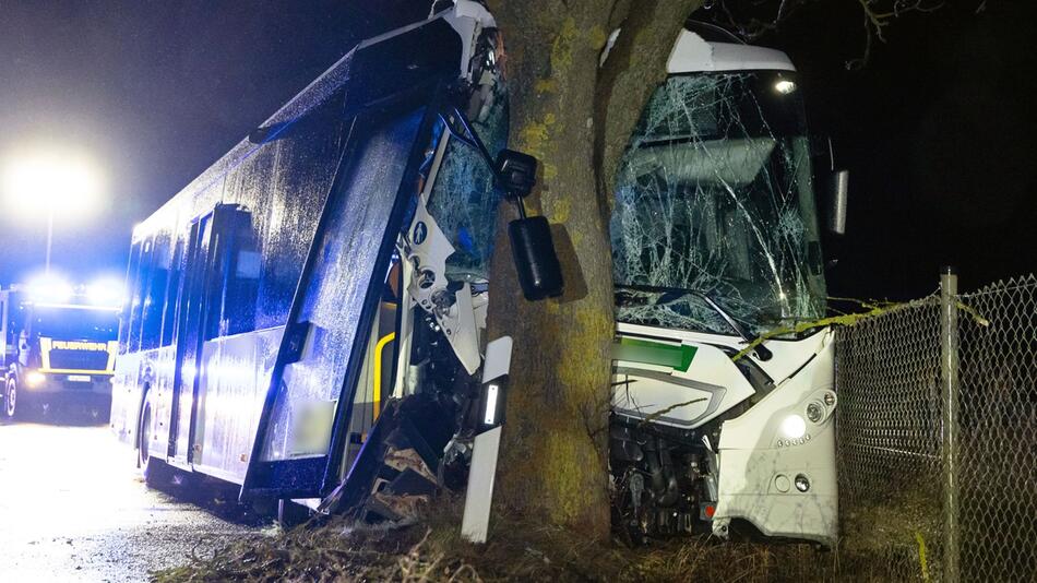 Linienbus fährt bei Ilmenau gegen Baum