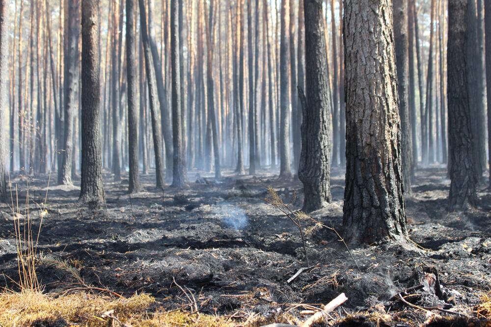 Situation bei Waldbrand bleibt brenzlig