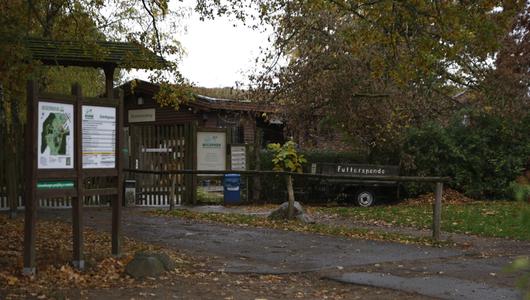 Wolf soll Kind im Wildpark Johannismühle angegriffen haben