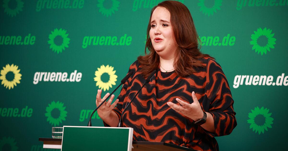 Grünen-Chefin Ricarda Lang: "Davor Kann Ich Nur Warnen" | 1&1