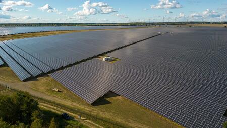 Dass Hitze über Solarparks Vögel und Insekten schadet, ist erfunden