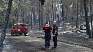 Waldbrand bei Paris