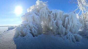 Chicago, Eis, Bäume, Frost, Schnee, Kälte, bizarre Gebilde