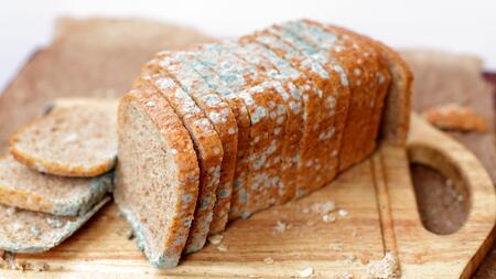 Schimmel auf dem Brot: Muss der ganze Laib entsorgt werden?