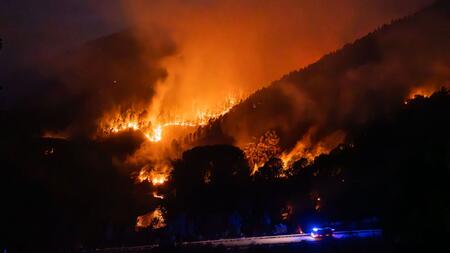 Höchste Waldbrand-Emissionen in Europa seit Messbeginn