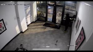 13 Monate Haft für Banksy-Diebstahl