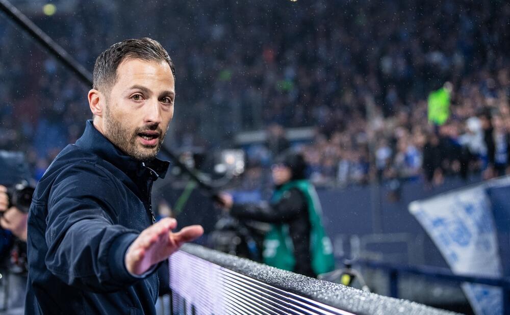 Domenico Tedesco, FC Schalke 04, Fortuna Düsseldorf, Bundesliga, Fans