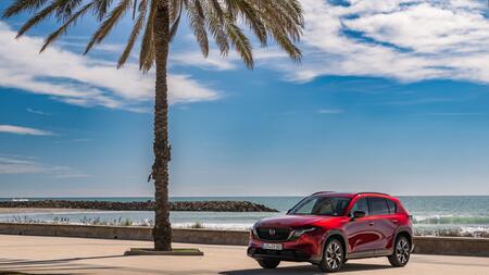 Fit für die dritte Runde?