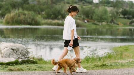 Das passiert in Ihrem Körper, wenn Sie täglich spazieren gehen