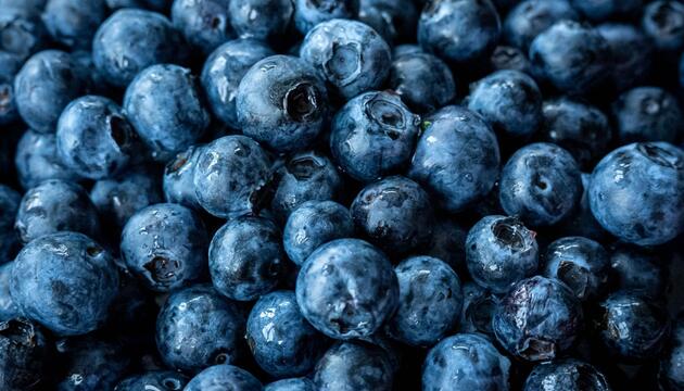 Heidelbeeren