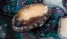 Abalone, auch Seeohr genannt