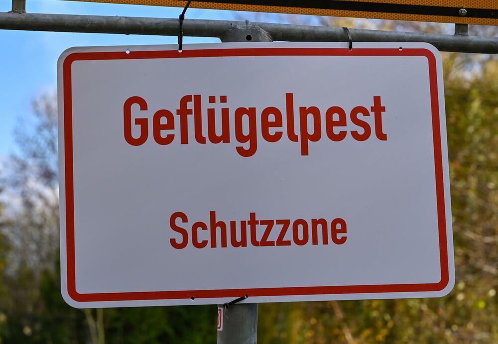 Schild Geflügelpest