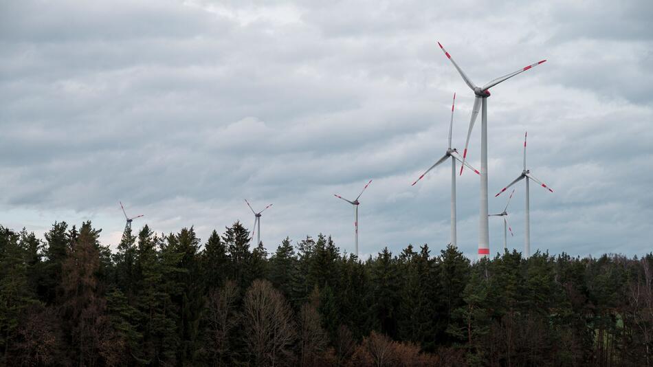 Windkraftanlagen im Lindenhardter Forst