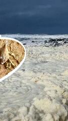 Australischer Strand wegen mysteriösem Schaum gesperrt