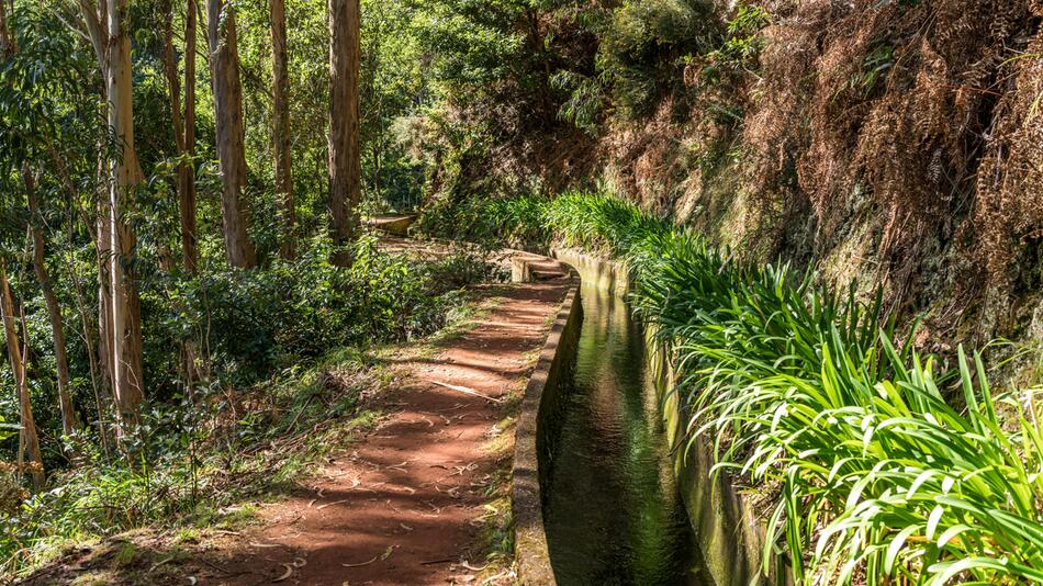 Madeira