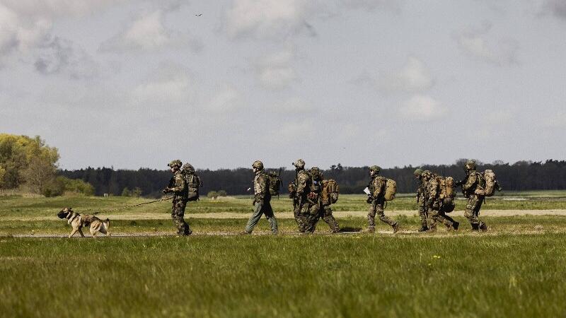 Deutsche Bundeswehr-Soldaten und ein Hund gehen auf einem Feldweg.