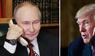 Donald Trump und Wladimir Putin haben telefoniert