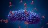 Illustration von Bakteriophagen, die ein Bakterium infizieren