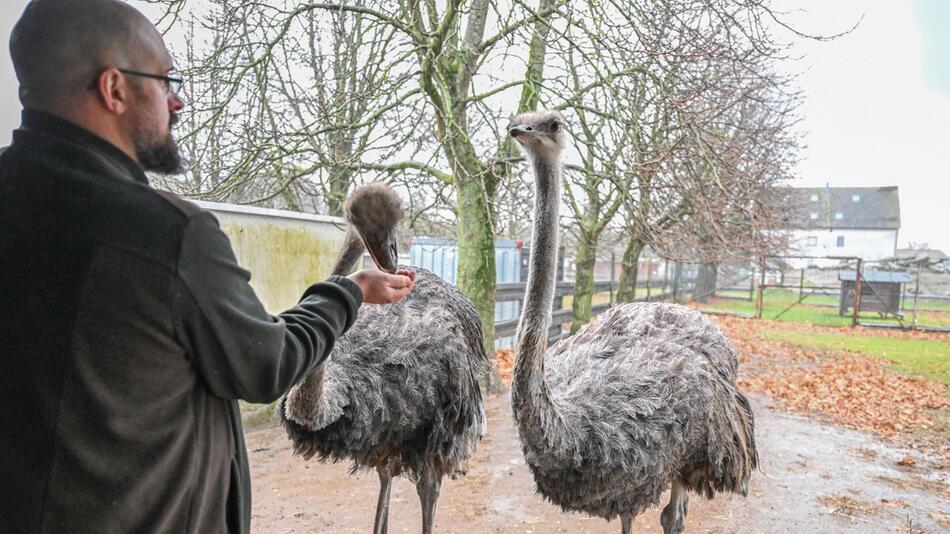 Vogelgrippe-Verdacht bestätigt