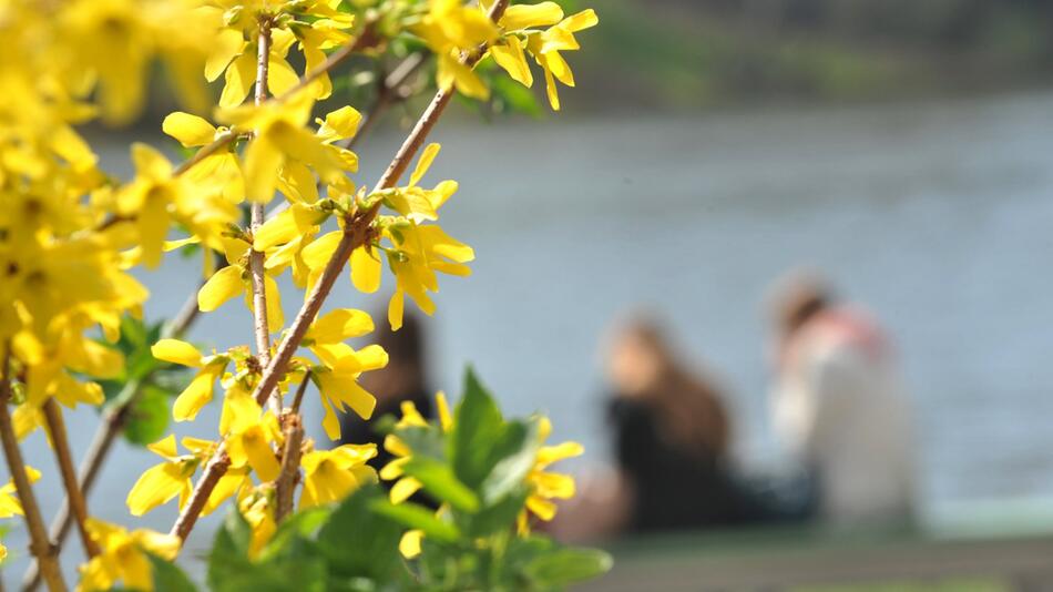 Der Frühling kommt