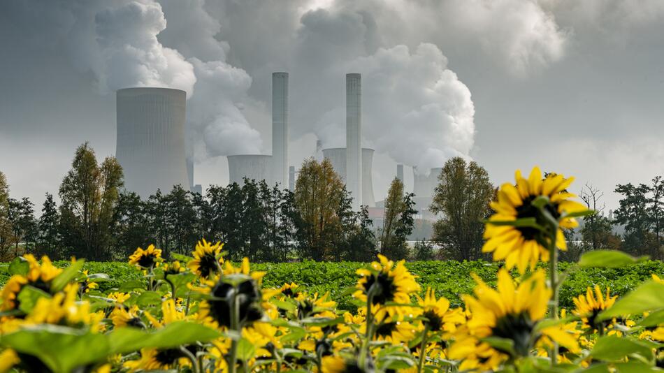 AKW und Sonnenblumen davor