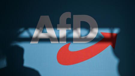 Drei AfD-Politiker endgültig nicht zur Wahl zugelassen