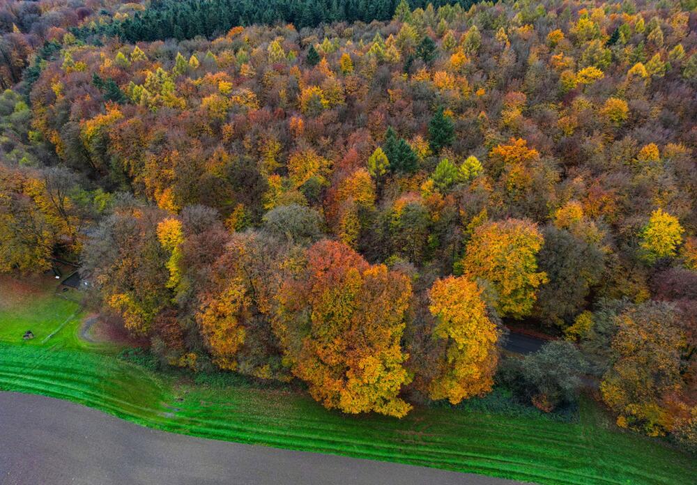 Umweltminister ist weiter offen für zweiten Nationalpark