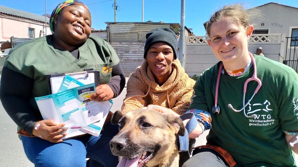 Mobile Kliniken helfen Tieren in Townships.