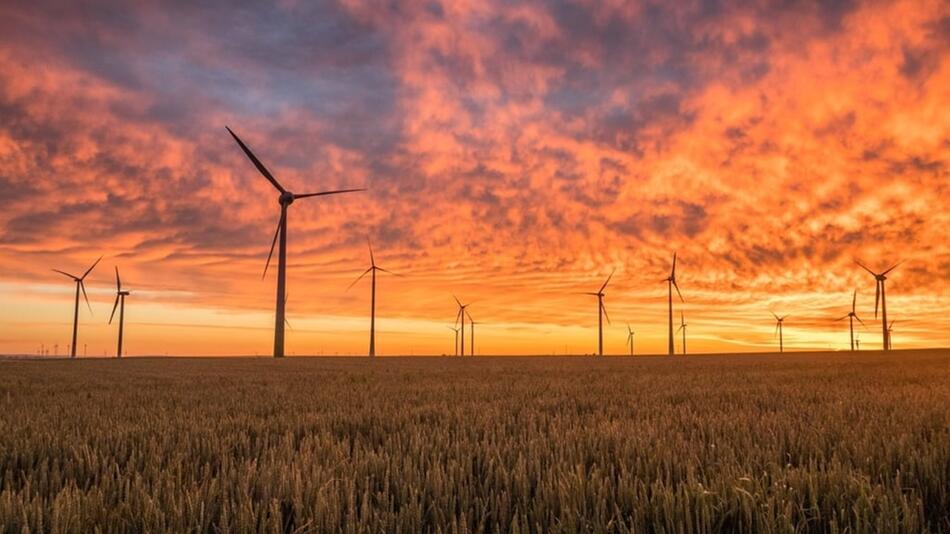 Seltene Erden sind ein wichtiger Rohstoff für Windkraftanlagen und damit zentral für die ...