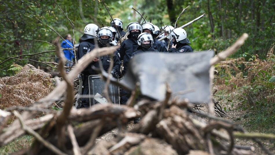 Hambacher Forst