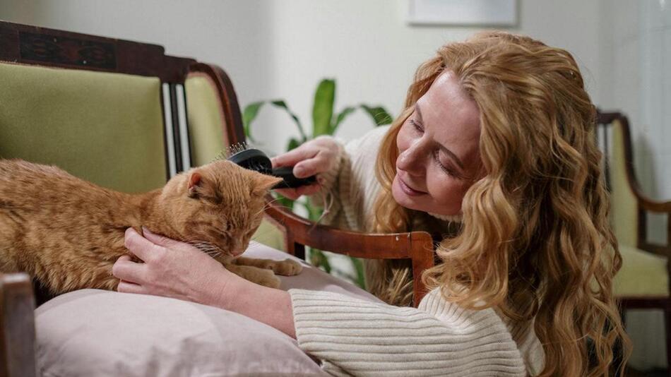 Was tun, wenn Deine Katze Flöhe hat?