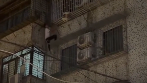 „Spider-Mann“ im Einsatz: Augenzeuge rettet Kleinkind vor Sturz aus Fenster