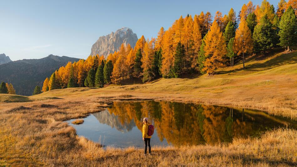 Herbstlandschaft