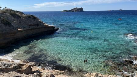 Vor beliebter Urlaubsinsel schwimmen immer mehr Schlangen im Meer