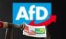 AFD, SPD, Die Grünen, CDU, Die Linke