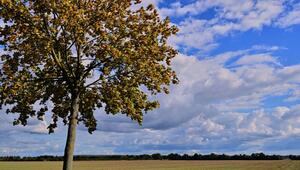 Sonniger September