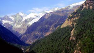 Gran Paradiso