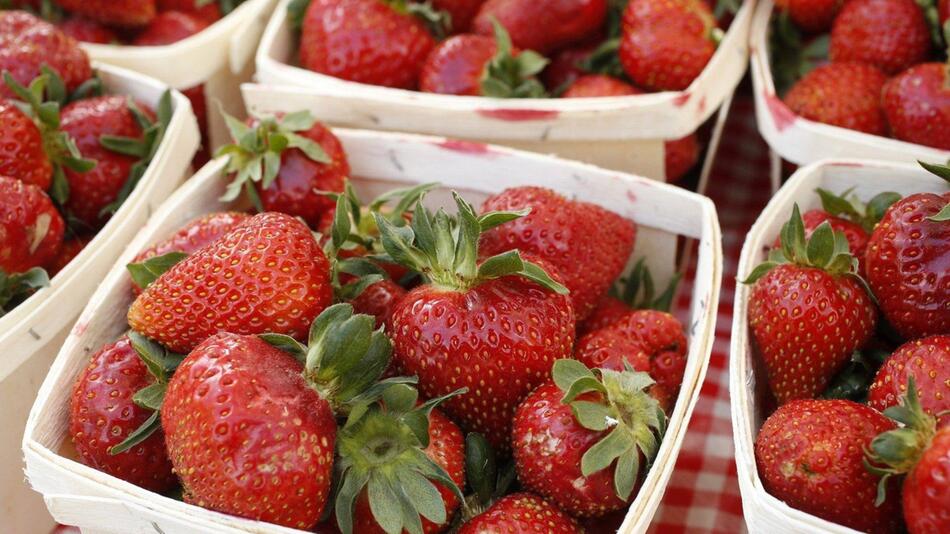 Mehrere Schalen voll mit Erdbeeren stehen zum Verkauf bereit
